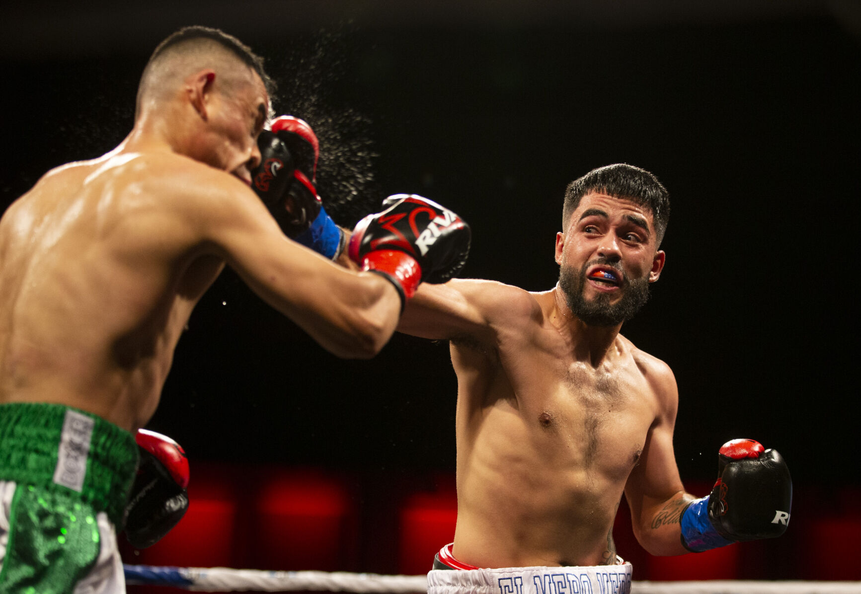 Roy Jones Championship Boxing